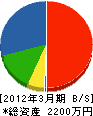 蟹電気工事 貸借対照表 2012年3月期