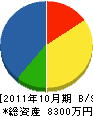 九州化工 貸借対照表 2011年10月期