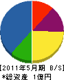 ヤマカ 貸借対照表 2011年5月期