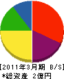 飯田建設工業 貸借対照表 2011年3月期