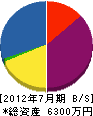 川井建設 貸借対照表 2012年7月期
