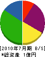 アイティー 貸借対照表 2010年7月期 アイティー 貸借対照表 2010年7月期