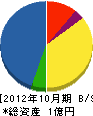 辻尾設備 貸借対照表 2012年10月期