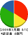 愛知工務店 貸借対照表 2009年3月期
