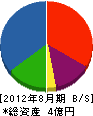 ヤマセイ 貸借対照表 2012年8月期