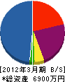 山翔 貸借対照表 2012年3月期