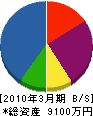 手塚工務店 貸借対照表 2010年3月期
