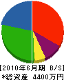 鈴木建設 貸借対照表 2010年6月期