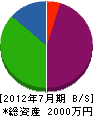 川村塗装店 貸借対照表 2012年7月期