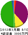 小嶋電気工業 貸借対照表 2012年3月期