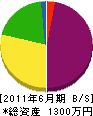 嶋田建設 貸借対照表 2011年6月期