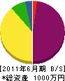 永井建塗工業 貸借対照表 2011年6月期