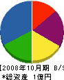 ナカシマ 貸借対照表 2008年10月期