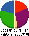 カネコ 貸借対照表 2009年12月期