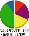 ティー・シージャパン 貸借対照表 2012年5月期