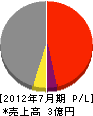 江戸川電気工業 損益計算書 2012年7月期