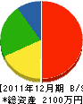 齊藤塗装 貸借対照表 2011年12月期