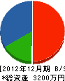 北沢建設 貸借対照表 2012年12月期