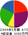 松原 貸借対照表 2009年5月期