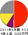 堀田工業 損益計算書 2011年6月期