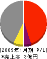 澤田工業 損益計算書 2009年1月期