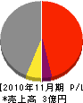 田邊電業 損益計算書 2010年11月期