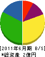 岩泉電工 貸借対照表 2011年6月期