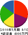 長島冷暖房サービス 貸借対照表 2010年5月期