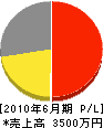 インテリアサービスオカダ 損益計算書 2010年6月期 インテリアサービスオカダ 損益計算書 2010年6月期
