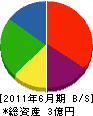 日本建材商会 貸借対照表 2011年6月期