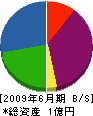 西日本電工 貸借対照表 2009年6月期