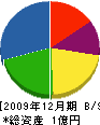 総合防災 貸借対照表 2009年12月期