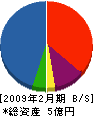 湘興２１ 貸借対照表 2009年2月期