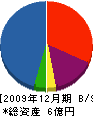 富士ネット工業 貸借対照表 2009年12月期