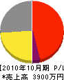 三成 損益計算書 2010年10月期