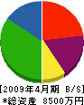 矢野アルミ 貸借対照表 2009年4月期