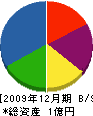二島電気 貸借対照表 2009年12月期