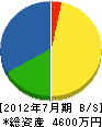 河田工業 貸借対照表 2012年7月期