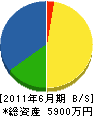 富士見商会 貸借対照表 2011年6月期