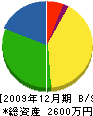 小嶋組 貸借対照表 2009年12月期