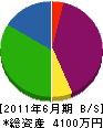 岩田工業 貸借対照表 2011年6月期