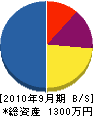 小野電気工業 貸借対照表 2010年9月期 小野電気工業 貸借対照表 2010年9月期