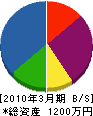 佐藤電機店 貸借対照表 2010年3月期