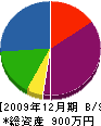 井谷建設 貸借対照表 2009年12月期
