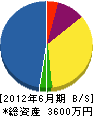 池田電建 貸借対照表 2012年6月期