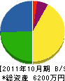 野尻塗装店 貸借対照表 2011年10月期