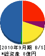 丸北三建工業 貸借対照表 2010年9月期 丸北三建工業 貸借対照表 2010年9月期