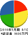 角田建設 貸借対照表 2010年5月期