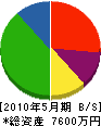 武田建設工業 貸借対照表 2010年5月期