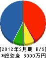 昭栄 貸借対照表 2012年3月期